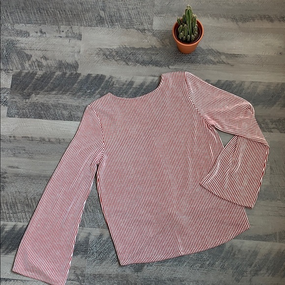 🌵Rust Pinstripe Tie-Waist Bell Sleeve Crop Top - Picture 5 of 5